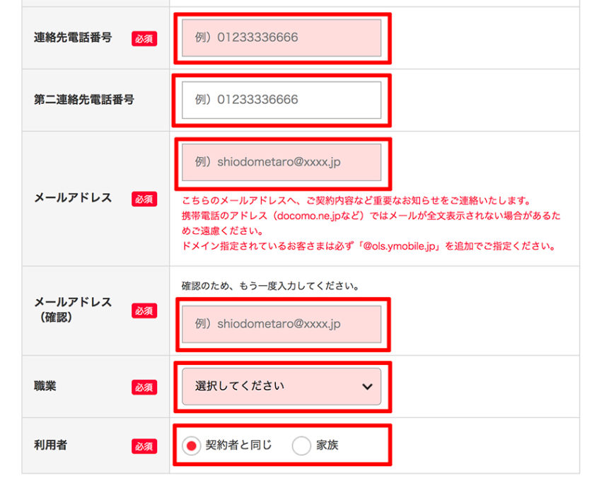 赤枠を入力していく