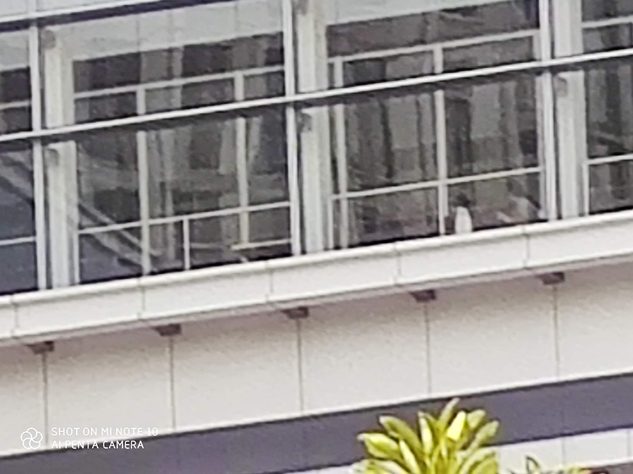 Mi Note10デジタルズーム50倍で撮影