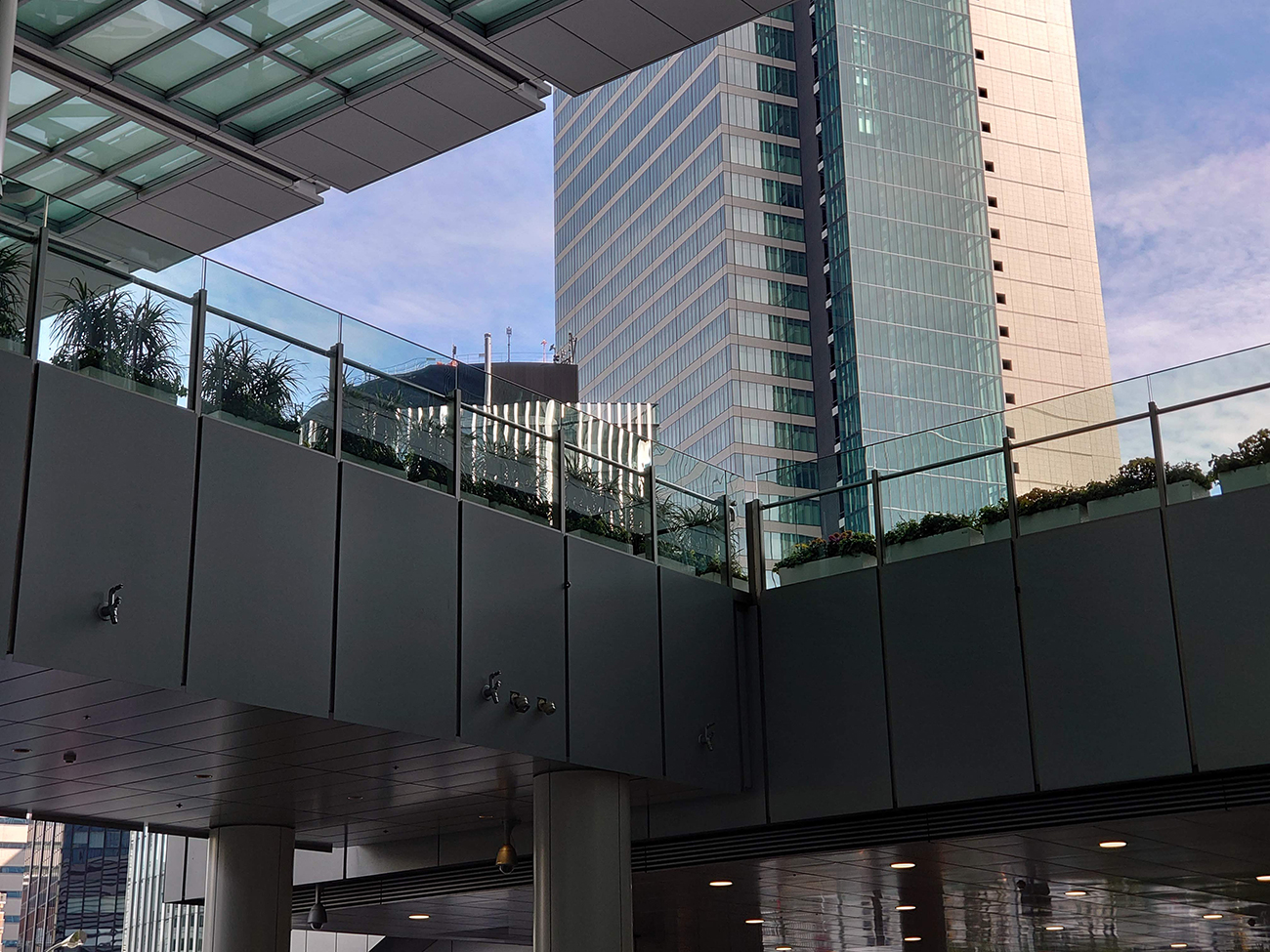 Xperia 5の望遠カメラ