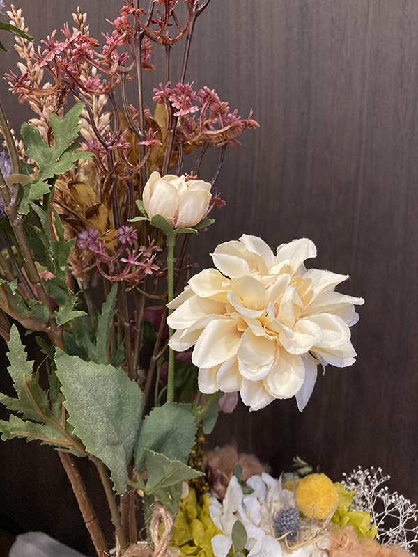 iPhone SE第2世代標準カメラ