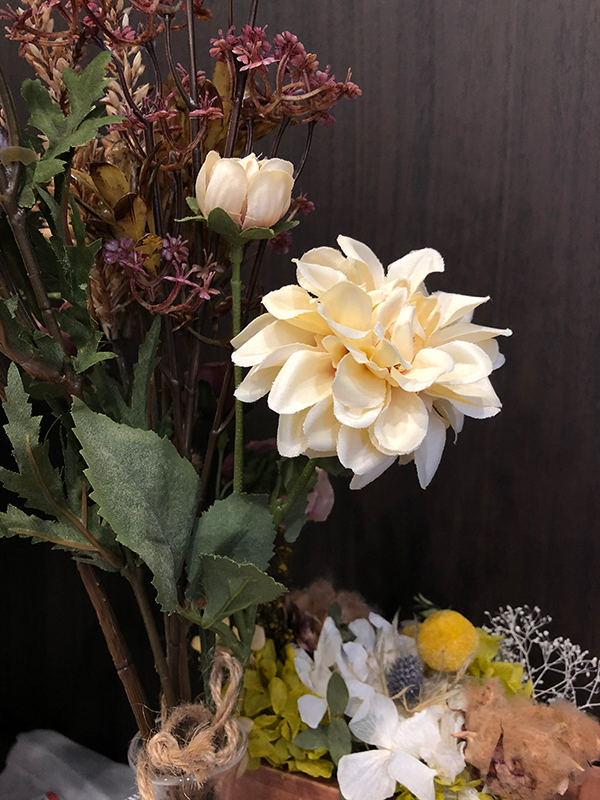 iPhone SE第2世代標準カメラ